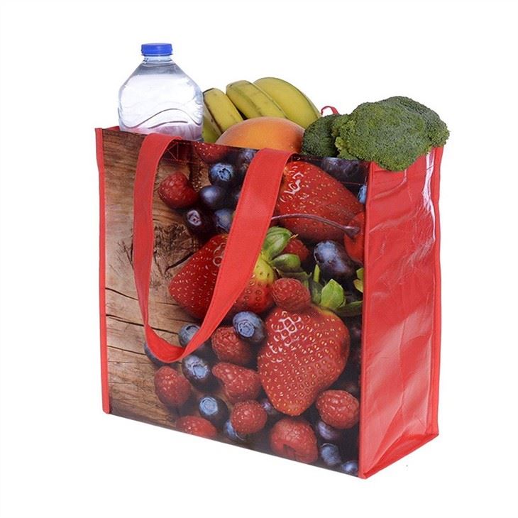 Recycled customized RPET-Water-Bottle-Bag-PET-Stitchbond